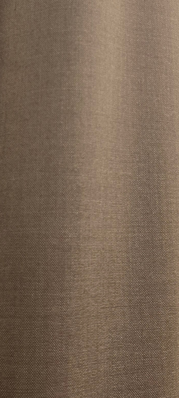 Barutti Brown Two-Piece Suit
